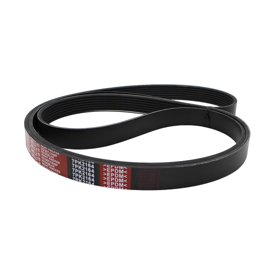 Black serpentine drive belt loop with red printed part codes along the outer edge