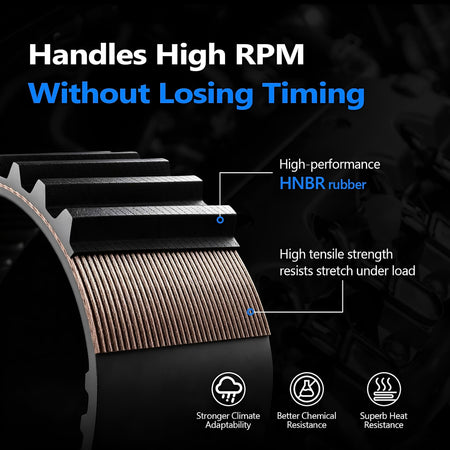 Ribbed timing belt with HNBR rubber for high RPM timing stability